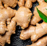 Ginger