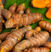 Turmeric